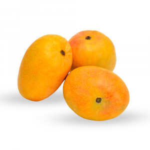 Alphonso Mango