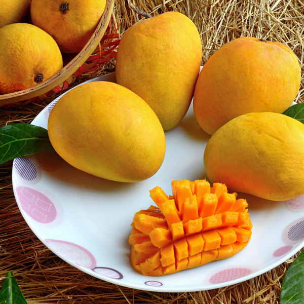 Alphonso Mango in Plate