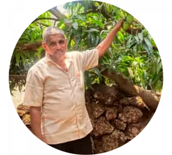 Jayvant Lad - Devgad Alphonso Farmer