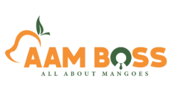 AamBoss - Alphonso Mango